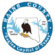 Rains County Logo